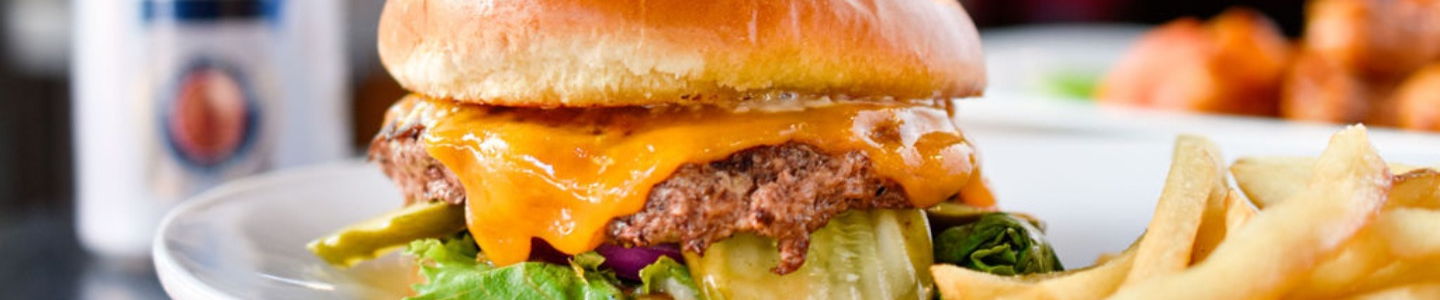 Cheesburger with pickles and lettuce on a brioche bun, served with fries.